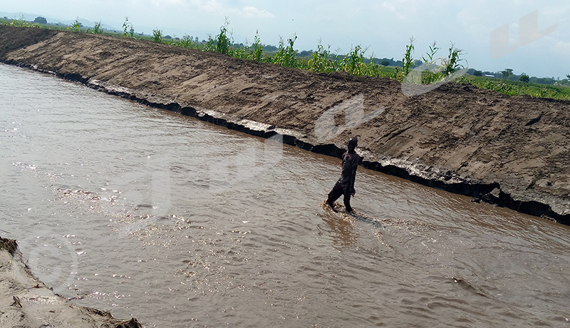 Gihanga/ Kajeke : 118 maisons inondées dont 5 complétement détruites