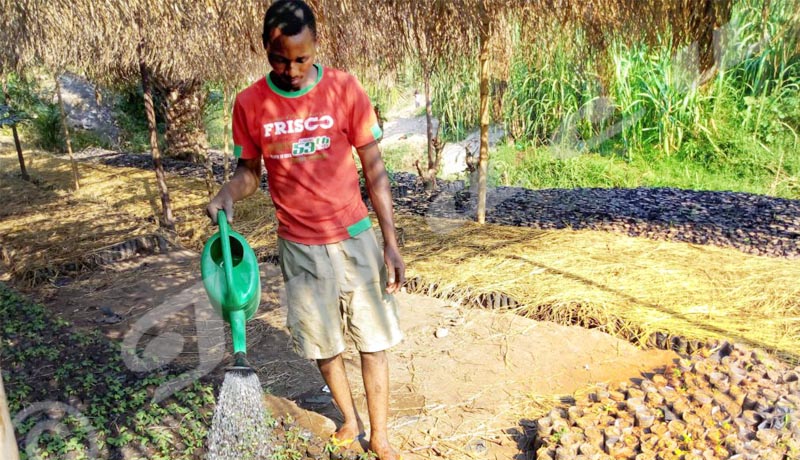 Emmanuel Niyoyabikoze, le soldat de l’environnement