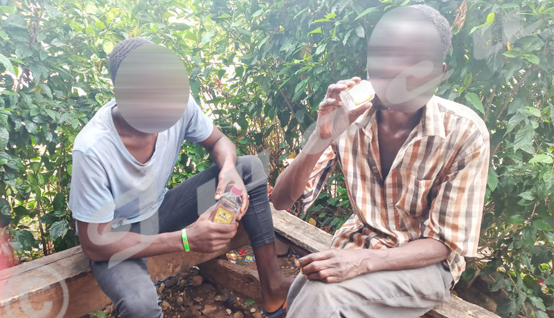 « Karibu », la boisson qui fait des ravages