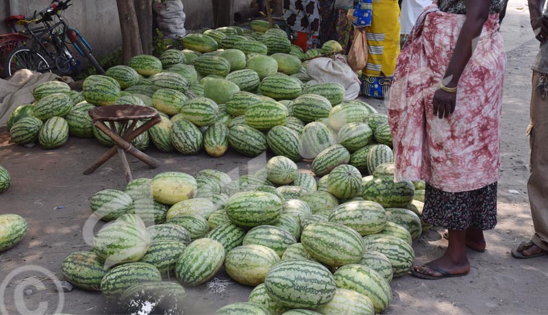 Marché de Ngagara : les vendeurs de pastèques dans le désarroi