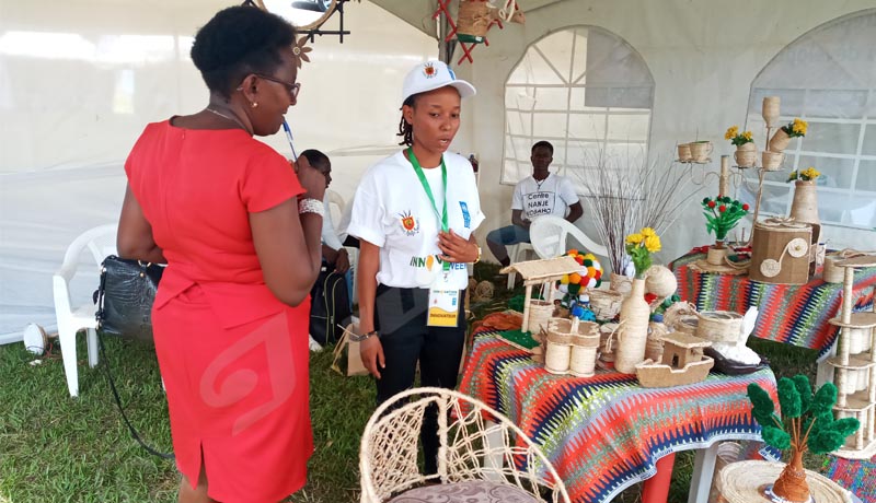 Foire des jeunes entrepreneurs : créativité et innovation à l’œuvre