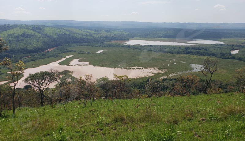 Environnement – La préservation du parc de la Ruvubu peine à être effective