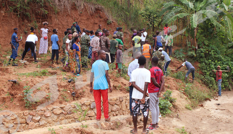 Gasekebuye /Aimé-Emmanuel Nibigira accusé d’arrachage de plants de bambous récemment plantés