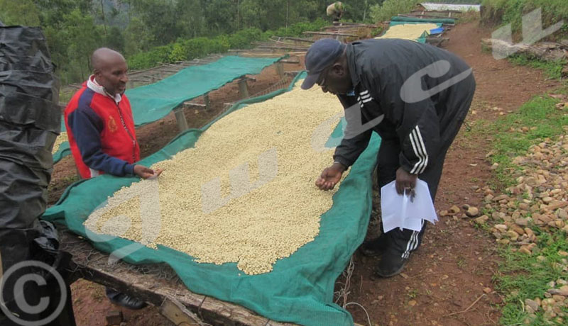 Food for the Hungry-Burundi mérite bien son nom