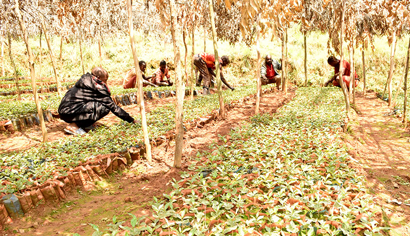 Food for the Hungry: le Burundi a gagné son pari