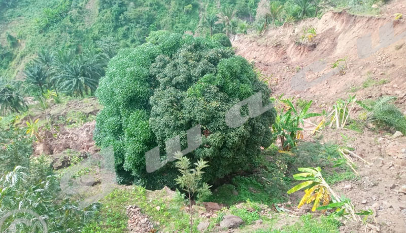 Kabezi : Surexploitées, les montagnes se révoltent