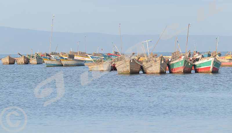 Rumonge | Pénurie de carburant : quand le poisson déserte nos assiettes