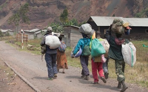 RDC/ Nord-Kivu : Le calvaire des déplacés