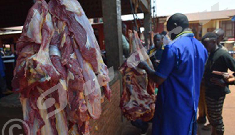 Interdiction de l’abattage des ruminants : Des prix de la viande de volailles et de porcs en hausse