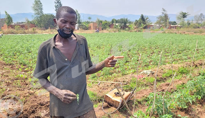 Le retard de livraison des intrants agricoles indispose   les agriculteurs