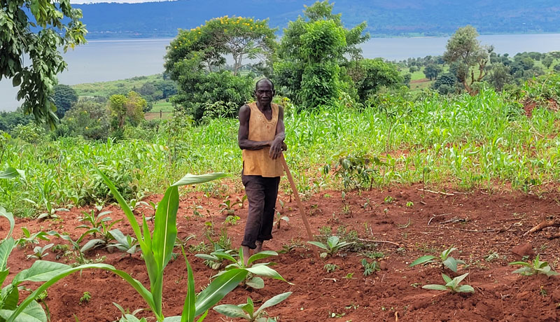 Kenya importe sous peu de l’engrais de la Tanzanie