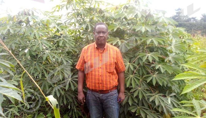 Patrice Ndimanya : « Nous devons nous attendre à une offre alimentaire très réduite pendant cette année agricole »