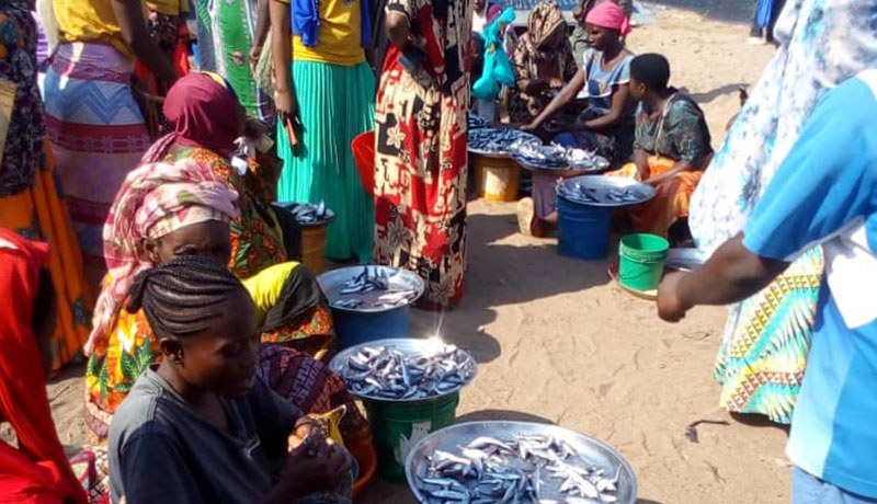Région Sud/Rumonge : Les commerçantes de poisson dans la tourmente