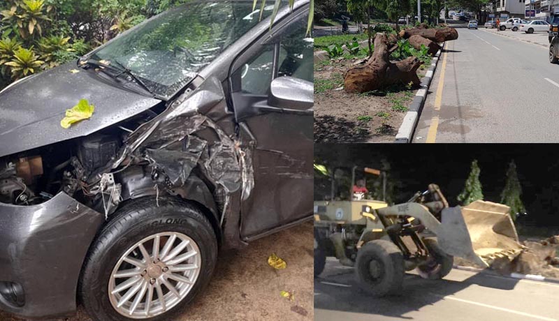Boulevard Melchior Ndadaye : des accidents de voiture causés par des troncs d’arbres