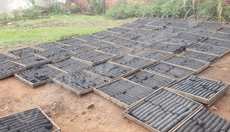 Des briquettes pour sauver les forêts