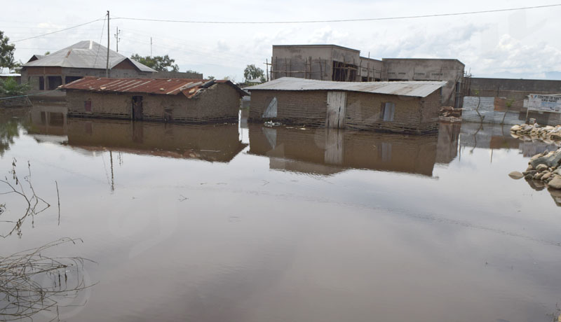 Les inondations de Gatumba : Ce calvaire qui n’en finit pas