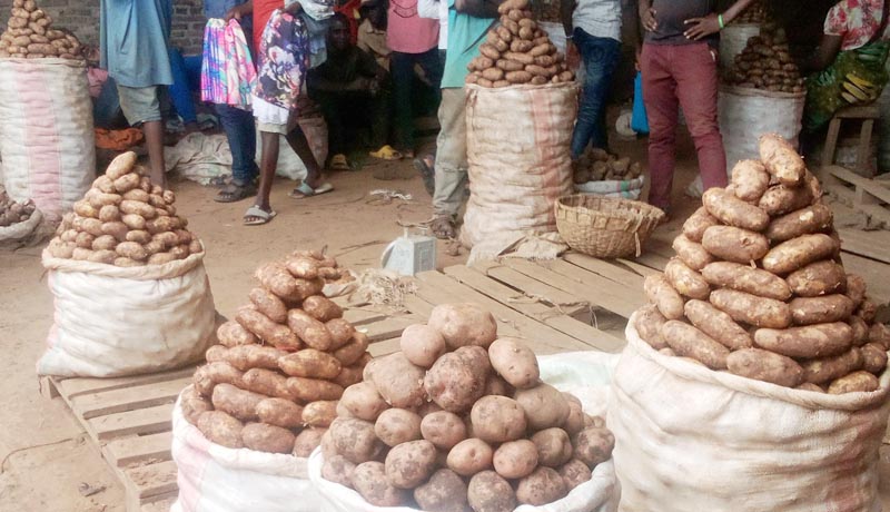 Bujumbura mairie : le prix de la pomme de terre monte en flèche