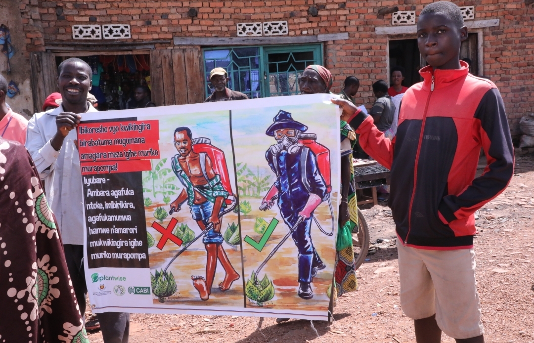 Le projet Plantwise au Burundi continue d’autonomiser les agriculteurs à travers des campagnes de sensibilistaion sur  la santé des plantes