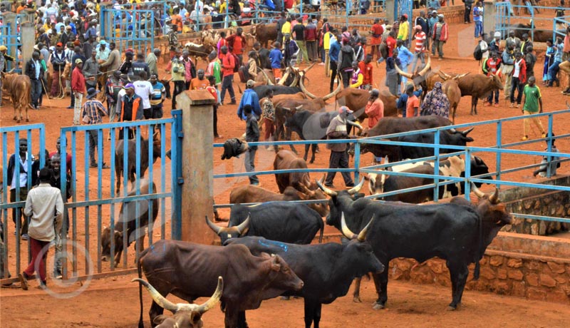 Région Centre/Gitega : Le commerce presque paralysé