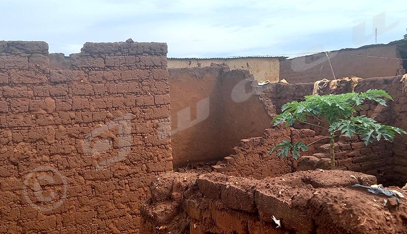 Région Ouest/Cibitoke : Difficiles conditions de vie des rapatriés