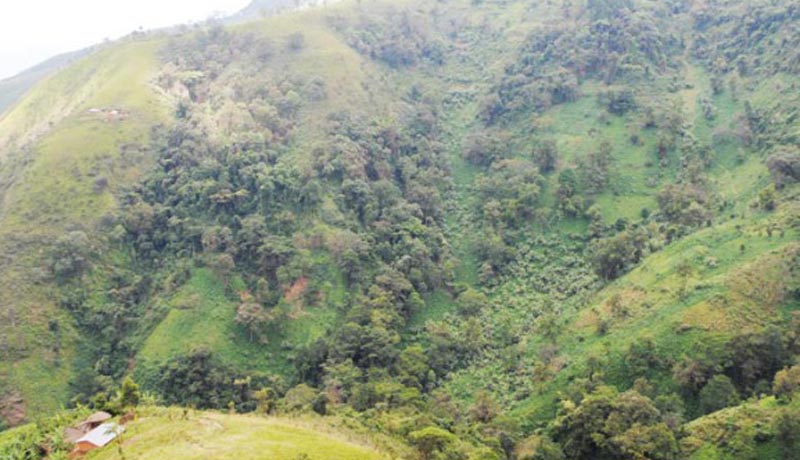 Région Sud/Vyanda : La réserve naturelle de Vyanda souvent en feu