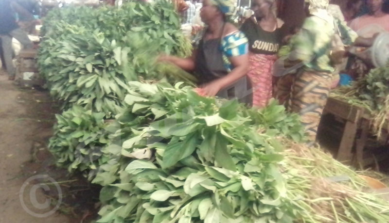 Mairie de Bujumbura : Les amarantes interdites, les vendeuses déchantent