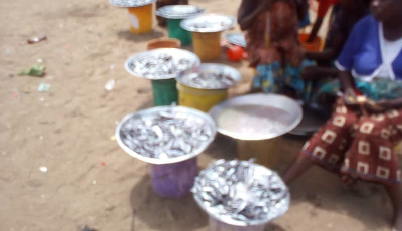 Région Sud/Rumonge : Flambée du prix du poisson sec dit « Ndagala » sur le marché