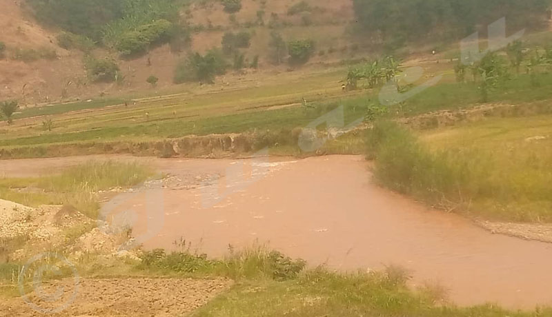 Région Ouest/Cibitoke : Plus de 30 personnes arrêtées à la frontière de Ruhwa