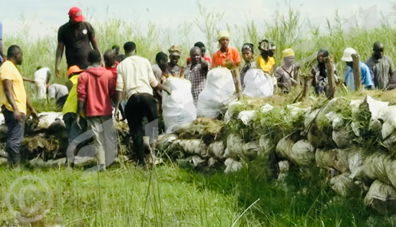 Inondation à Gatumba : Les habitants se préparent au pire avec l’annonce de fortes précipitations