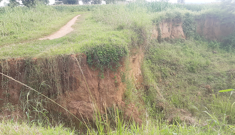 Région Ouest Cibitoke/Rugombo : Difficile d’accéder à la frontière avec la RD Congo