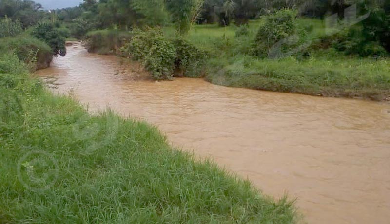 Rumonge / Polémiques autour d’un hippopotame coincé dans une fosse