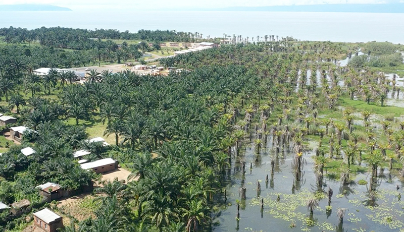 Rumonge frappée de plein fouet par le changement climatique