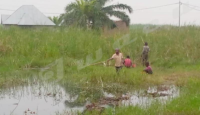 Gatumba : De l’école buissonnière à l’« école poissonnière »