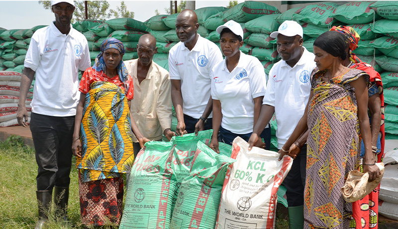 FAO au chevet des ménages affectés par les effets néfastes des changements climatiques à Kirundo