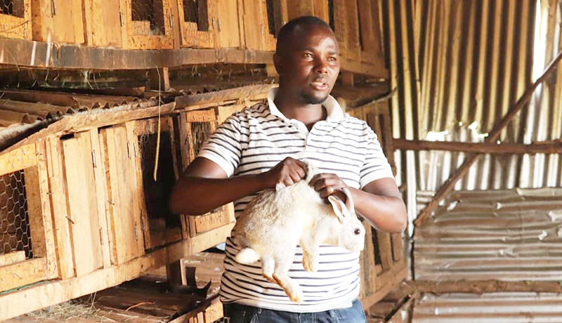 Gitega/Ruyigi Élevage des lapins : Des débuts difficiles