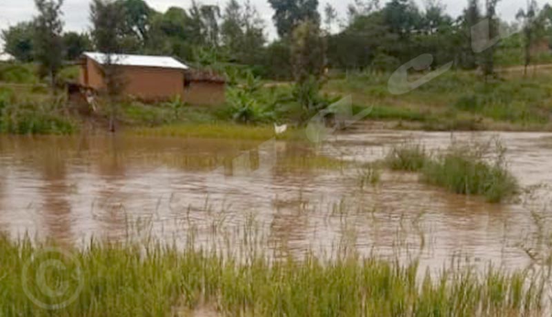 Nyabihanga : Une partie des riverains de la Ruvyironza dans la désolation totale