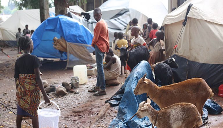 Visite dans les sites de transit des réfugiés congolais par l ...