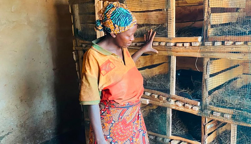 Commune Gitega : Les éleveurs de lapins face à mille et un défis